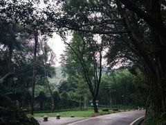 -广州市白云山风景名胜区