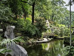 -南山植物园