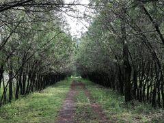 -白河堡水库