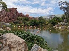 -芽庄珍珠岛游乐园