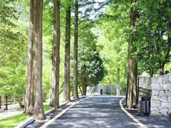 -安徽天堂寨风景区