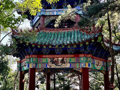 -沂蒙山旅游区云蒙景区(蒙山国家森林公园)