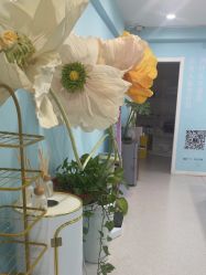 -斐尔国际皮肤管理中心