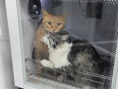 -瑞鹏宠物医院·超声·骨科·奇麟分院(蜀都万达店)