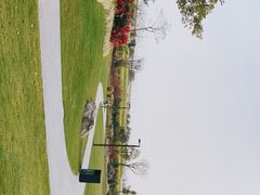 -光明小镇欢乐田园