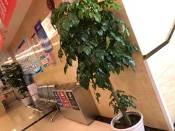 -成都军建医院·疤痕诊疗中心