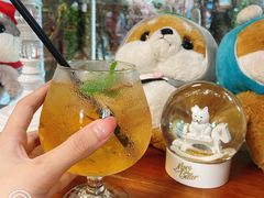 -柴犬高等学院·狗咖·柴犬售卖·宠物训练