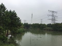 -九里河湿地公园