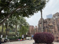 -海合安成都极地海洋公园