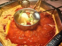 -蜀九香火锅(九眼桥店)
