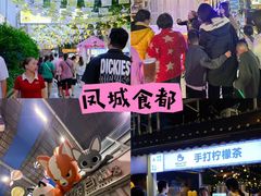 -凤城·食都