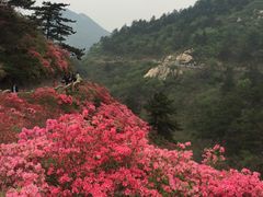 -木兰云雾山