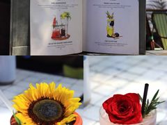 -The Grounds of Alexandria