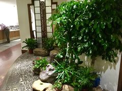 内景-青藤茶馆(南山路店)