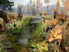 -陕西自然博物馆