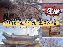 -桃花堤公园