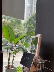 -意念造型
