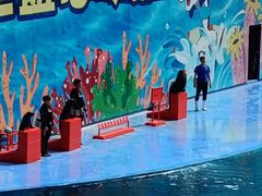 -北戴河圣蓝海洋公园