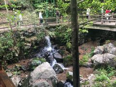 -藏龙百瀑风景区