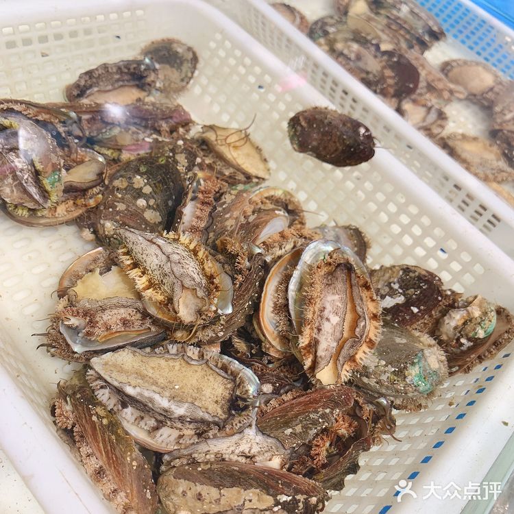 我超级喜欢海洋生物🦞顿顿都少不了🦑