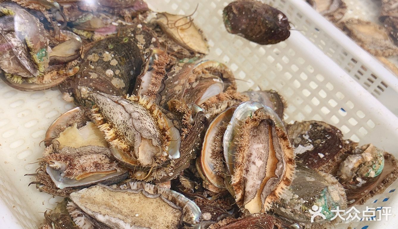 我超级喜欢海洋生物🦞顿顿都少不了🦑