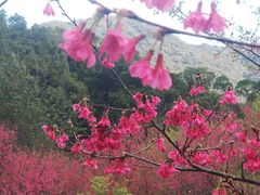 -福清灵石山国家森林公园