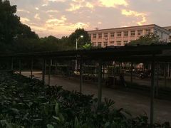 -浙江越秀外国语学院