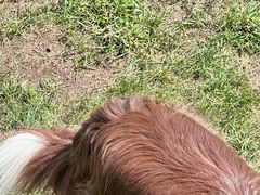 -蓝地时尚庄园(北京清河营地铁站店)