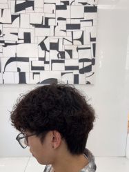 -东方麒麟·潘多拉SALON