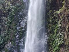 -莫里热带雨林景区