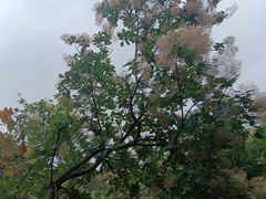 -宝岩生态观光园