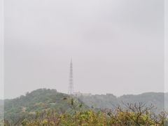 -天鹿湖森林公园