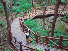 -大岭沟猕猴桃谷风景区