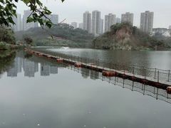 -重庆彩云湖湿地公园