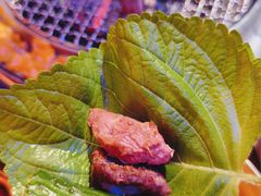 -釜山火炉·海鲜烤肉(紫藤路店)