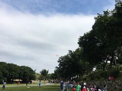 -风云岭森林公园