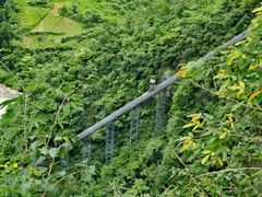 -鹿院坪生态旅游景区