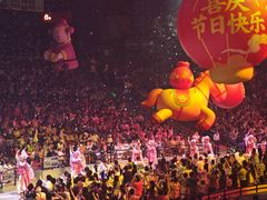 -广州长隆国际大马戏