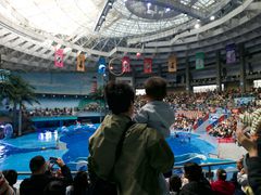-海合安成都极地海洋公园