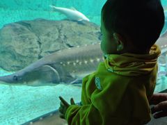 -太平洋海底世界