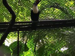 -深圳野生动物园