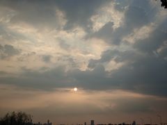 -合肥滨湖国家森林公园