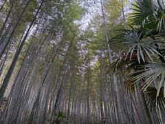 -南山风景名胜区