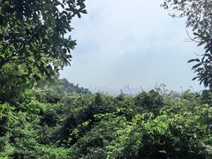 -火炉山森林公园