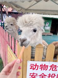 -萌宠亲子动物乐园(槐房万达店)