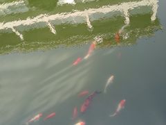 -南北湖湖光山居度假酒店