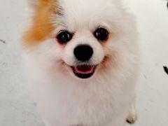 -COTTON CAFE(德信·中外公寓店)