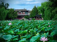 -莲池书院博物馆