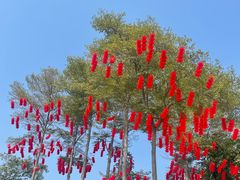 -深圳湾公园(南山区)