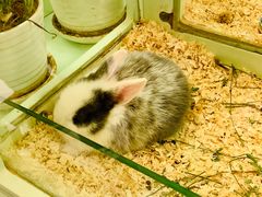 -龙猫仔乐园(惠福东路店)